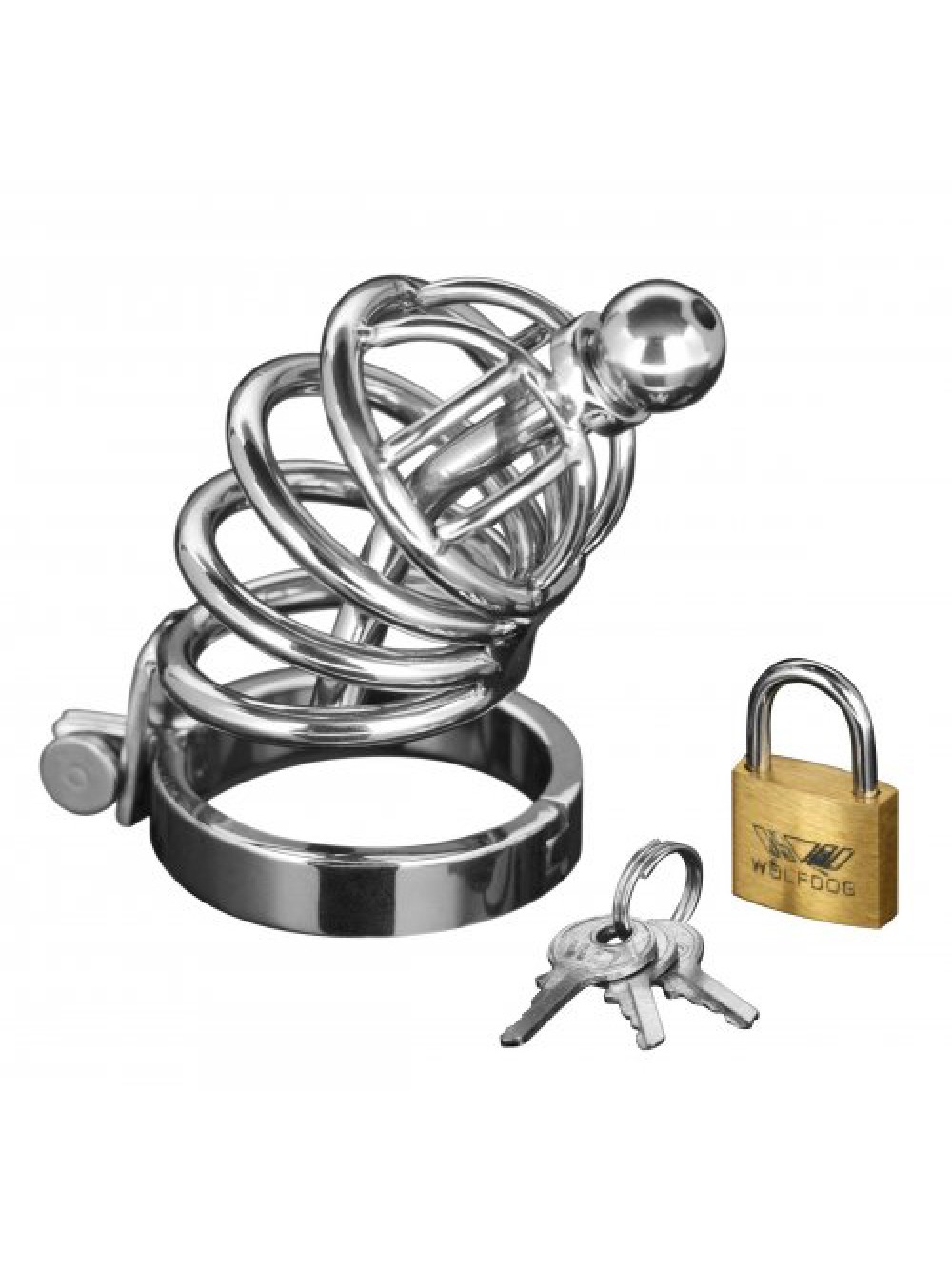 Asylum 6 Ring Locking Chastity Cage 848518005700