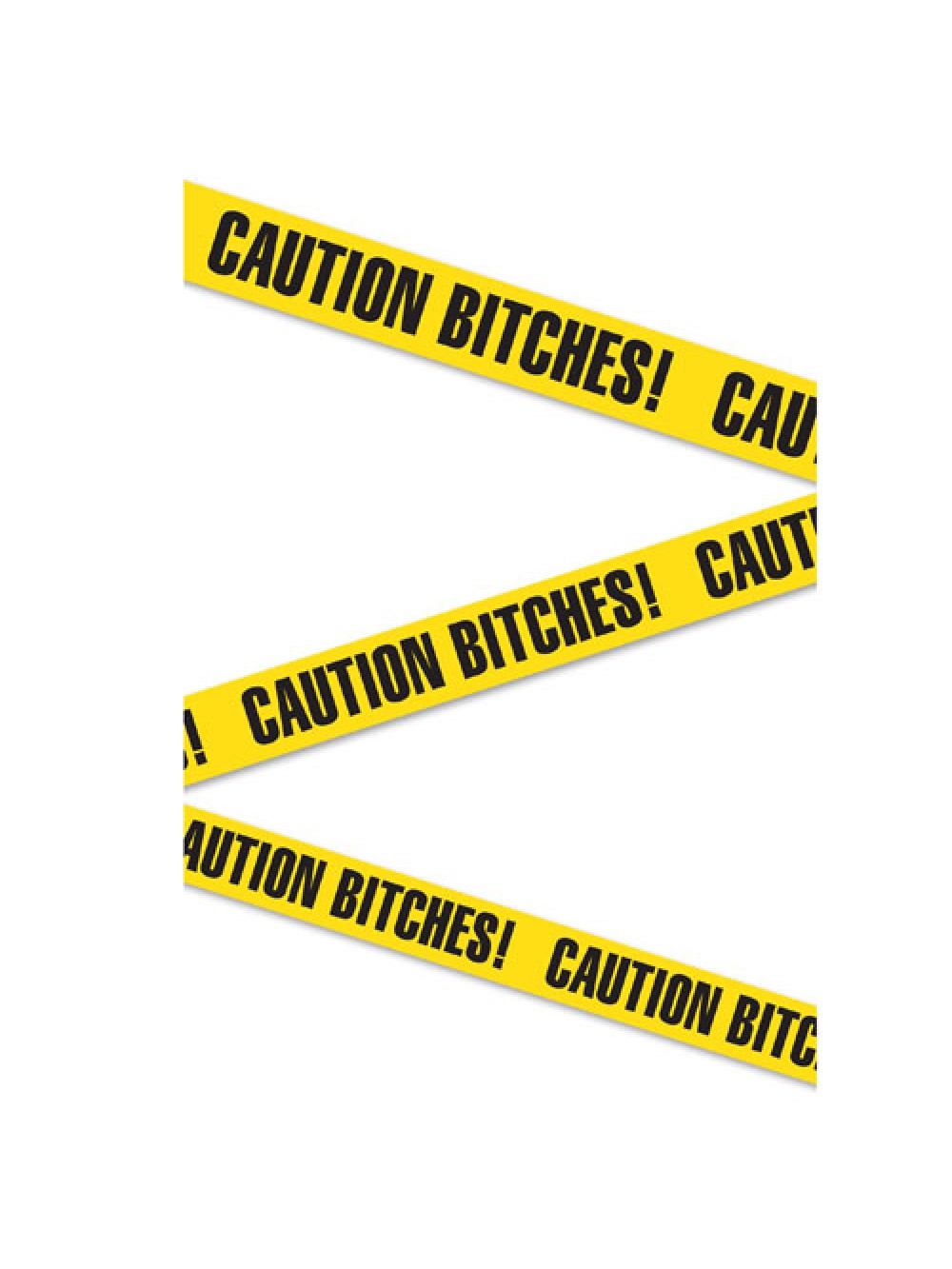 Caution Bitches 20 Foot Banner