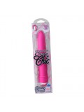 7 Function Classic Chic 6 Inch Vibe in Pink 716770057808 package