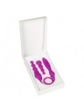 ADRIEN LASTIC 2X RECHARGEABLE DOUBLE VIBRATOR WITH MINI REMOTE PURPLE price
