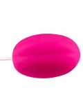 ADRIEN LASTIC PLAY BALL RECHARGEABLE VIBRATING EGG price