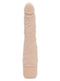 CLASSIC SLIM VIBRATOR NUDE 8713221484819 photo