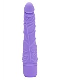 CLASSIC SLIM VIBRATOR PURPLE 8713221484840 photo