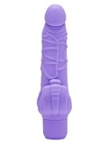 CLASSIC STIM VIBRATOR PURPLE 8713221485045 photo