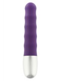 DISCRETION VIBE RIBBED PURPLE 4890888125331