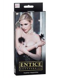 ENTICE FEATHER NIPPLETTES 0716770078766 toy