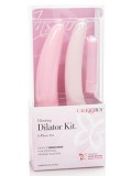 INSPIRE VIBRATING DILATOR KIT 0716770088413 toy