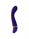 NTENSE LEO VIBRATOR PURPLE LUXE 8425402156544 review