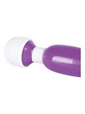 Passion Pointer mini 4024144582488 photo