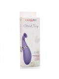 Rechargeable Clitoral Pump Purple 716770088833 photo