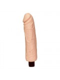 Smoothy Flexible Vibrator 4024144565047
