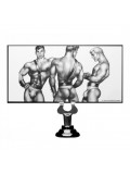Tom of Finland Anal Plug Large Silicone 848518018557 photo