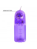 VIBRATING BUTTERFLY WITH REMOTE CONTROL PURPLE 6959532314915 price
