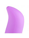 Wireless G-Spot Egg 8714273307521 toy