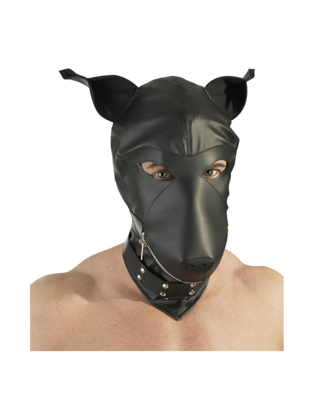 Dog Hood