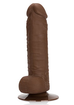 10-FUNCTION EMPEROR BROWN