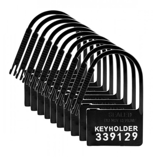 Keyholder 10 Pack Numbered Plastic Chastity Locks 848518014535