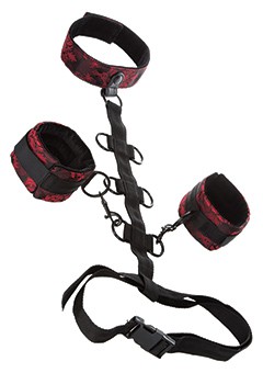 SCANDAL COLLAR BODY RESTRAINT