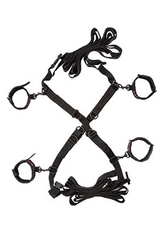 SCANDAL OVER THE BED CROSS
