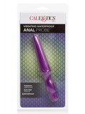 ANAL PROBE VIBRATING PURPLE 0716770030399 toy