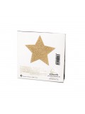 BIJOUX INDISCRETS FLASH STAR GOLD review 8437008002804