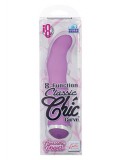 CLASSIC CHIC CURVE 8 FUNC PURPLE 0716770082497 toy