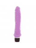 CLASSIC LARGE VIBRATOR PURPLE 6946689006480