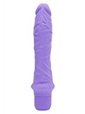 CLASSIC LARGE VIBRATOR PURPLE 8713221484949 photo