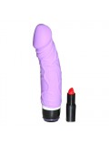 Classic Original Vibrator Purple 6946689004707 review