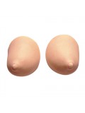 Dreaming of Big Breasts? 4024144520114