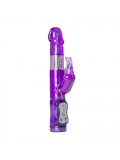 Easytoys Purple Rabbit Vibrator 8718627522714