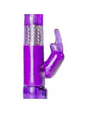 Easytoys Purple Rabbit Vibrator 8718627522714 photo