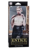 ENTICE OPEN MOUTH GAG 0716770078803 toy