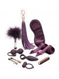 FIFTY SHADES FREED PLEASURE OVERLOAD SET 5060493003501