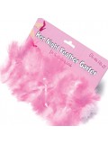 Hen Night Feather Garter 5022052025508