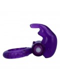 INTENSE COCK RING RABBIT PURPLE 8425402155486 offer