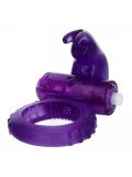 INTENSE COCK RING RABBIT PURPLE 8425402155486 price