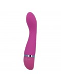 INTENSE LEO VIBRATOR PINK 8425402156537