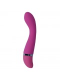 INTENSE LEO VIBRATOR PINK 8425402156537 review