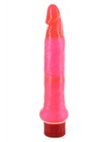 JELLY ANAL SLIM JIM VIBRATOR PINK 4890888893292