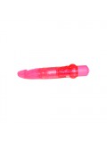 Jelly Anal Vibrator 4024144552696 photo