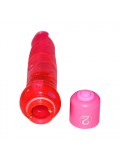 Jelly Anal Vibrator 4024144552696 package