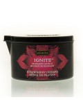 KAMA SUTRA MASSAGE CANDLE STRAWBERRY DREAMS 739122102285