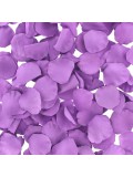 LOVERSPREMIUM ROSE PETALS PURPLE 8717903270578 review