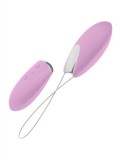 OVO R1 REMOTE ROSE/CHROME 4053856998225
