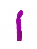 PRETTY LOVE BODY TOUCH II VIBRATOR PURPLE 6959532310559 package