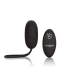 REMOTE RECHARGEABLE EGG BLACK 0716770087850