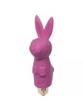 Rocks Off Feranti His And Hers Pleasure Set 811041019988 toy