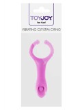 VIBRATING CLIT-STIM C-RING PURPLE 8713221461353 toy