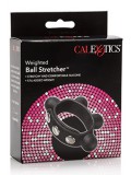 WEIGHTED BALL STRETCHER 0716770088451 toy